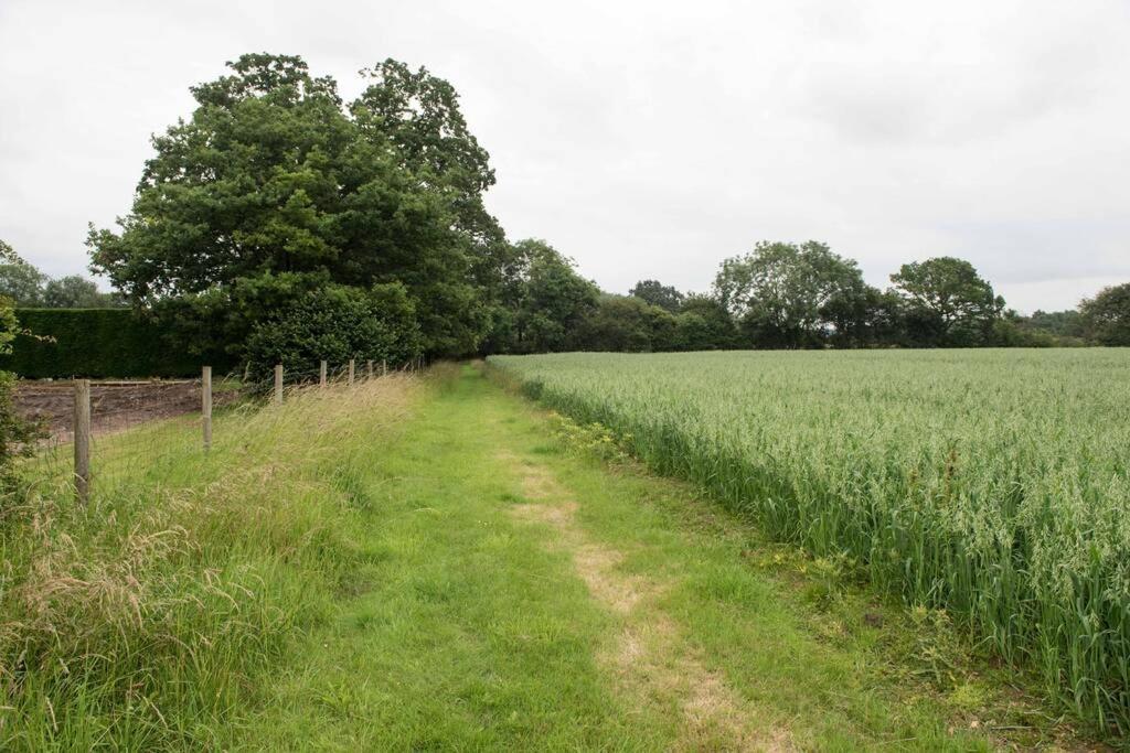 Immaculate Barn Annexe Close To Stansted Airport Грейт-Данмоу Экстерьер фото