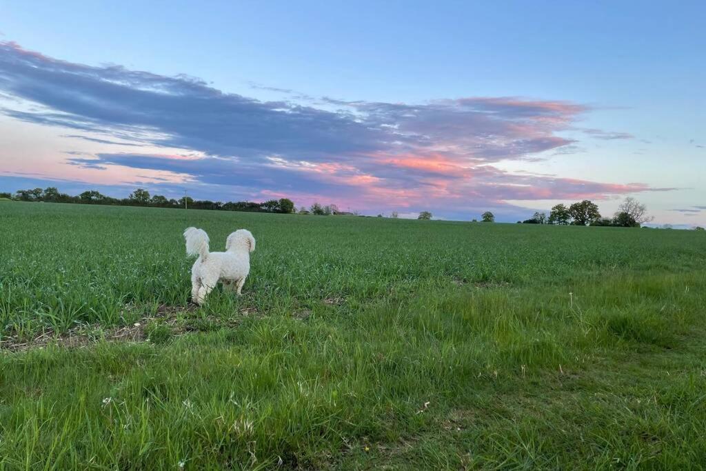 Immaculate Barn Annexe Close To Stansted Airport Грейт-Данмоу Экстерьер фото